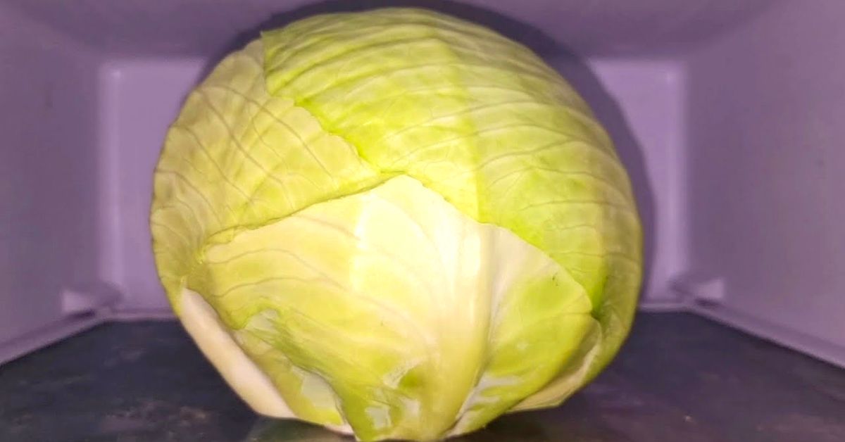 капуста в морозилке