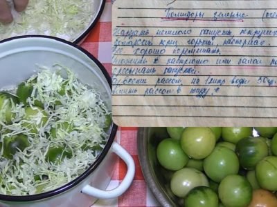Квашеная капуста с зелеными помидорами