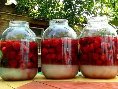 Карпатская наливка