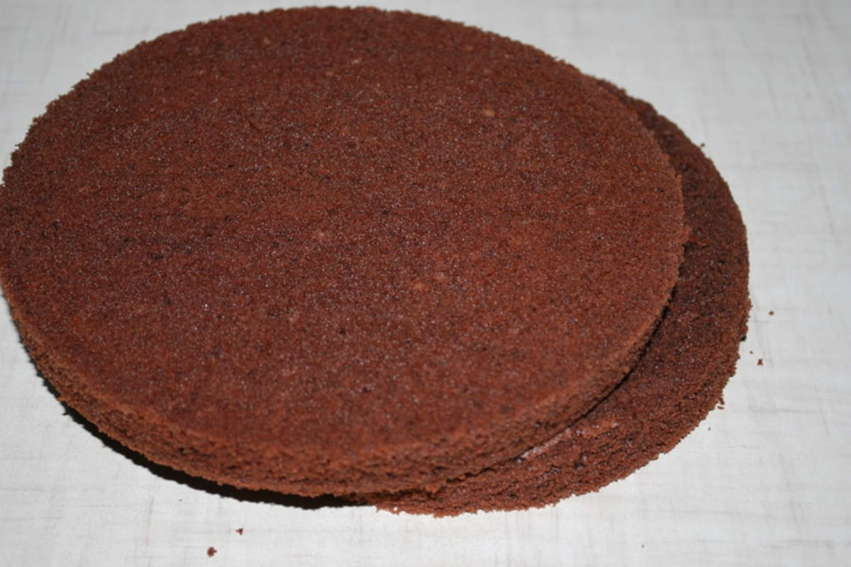 шоколадные коржи