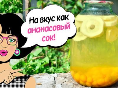 Компот из кабачков и алычи