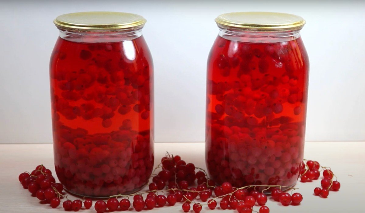 компот из красной смородины