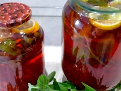 Компот из красной смородины — «Мохито» в банках