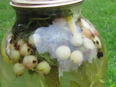 Компот из крыжовника «Мохито»