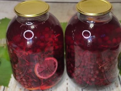 Компот из винограда без стерилизации