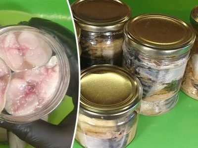 Консервированная скумбрия в масле своими руками