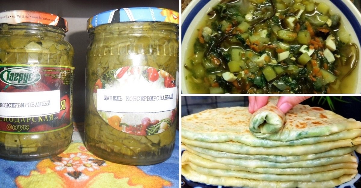 блюда с щавелем