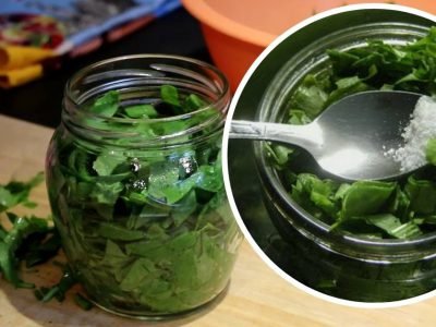 Консервированный щавель на зиму