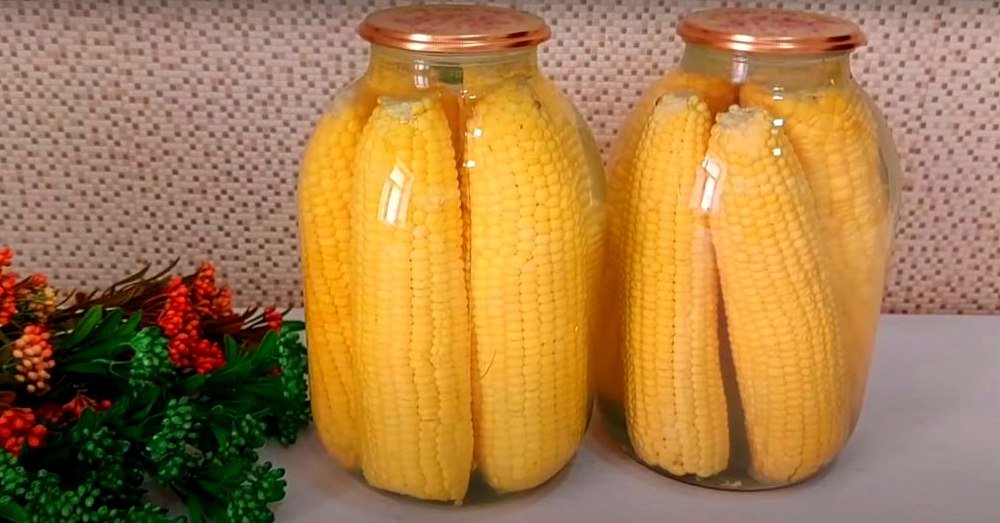 кукуруза на зиму