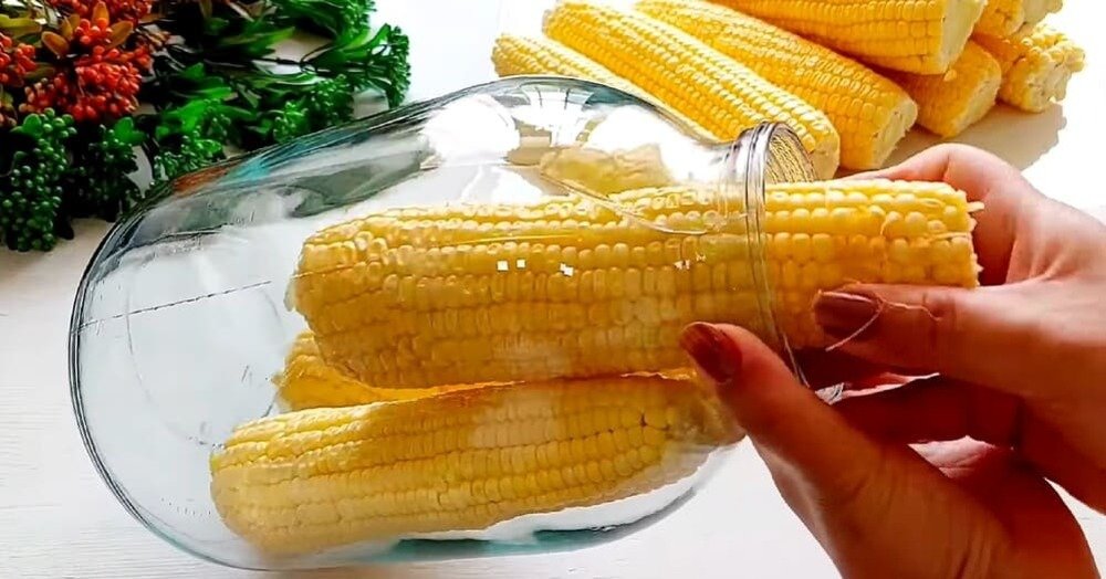 кукуруза на зиму