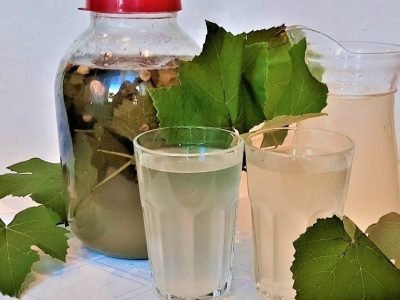 Квас из виноградных листьев: рецепт освежающего напитка