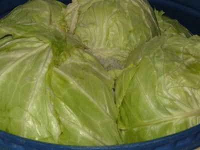 Квашеная капуста по-сербски