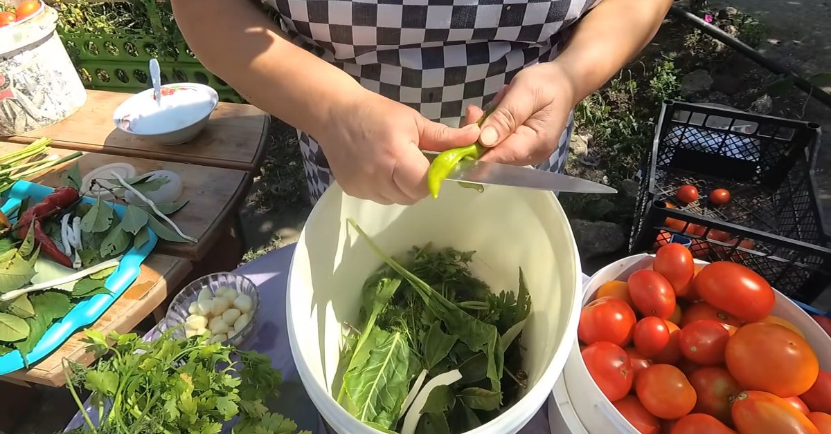 квашеные помидоры 