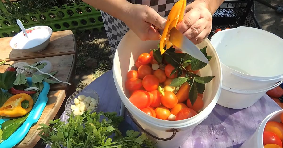 помидоры квашенные в ведре