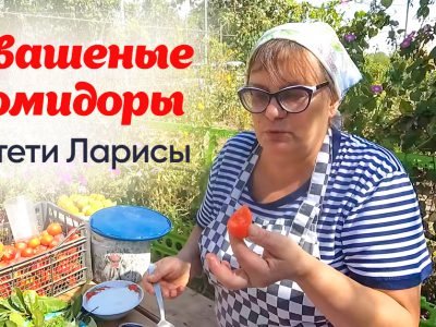 Квашеные помидоры в ведре с сахаром