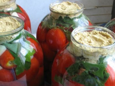 Квашеные помидоры