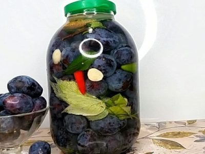 Квашеные сливы в пряном маринаде