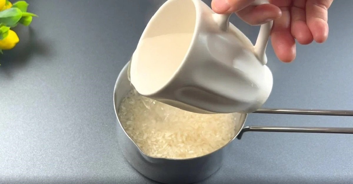 залитый водой рис