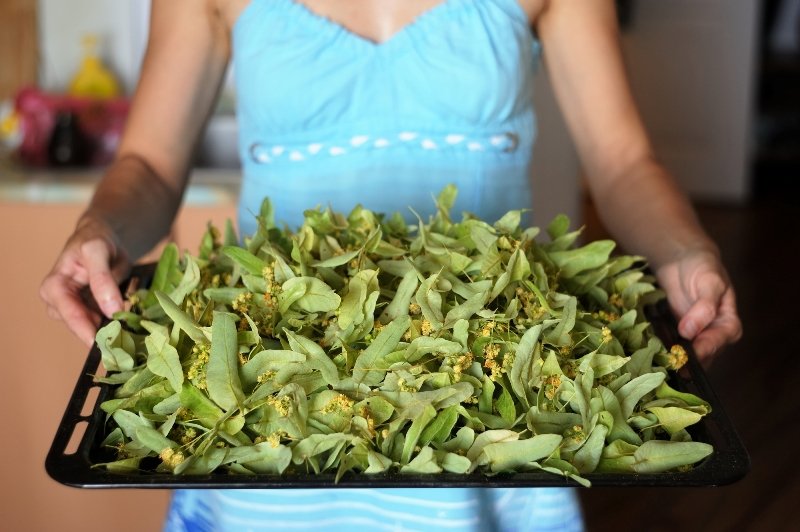 домашний лимонад