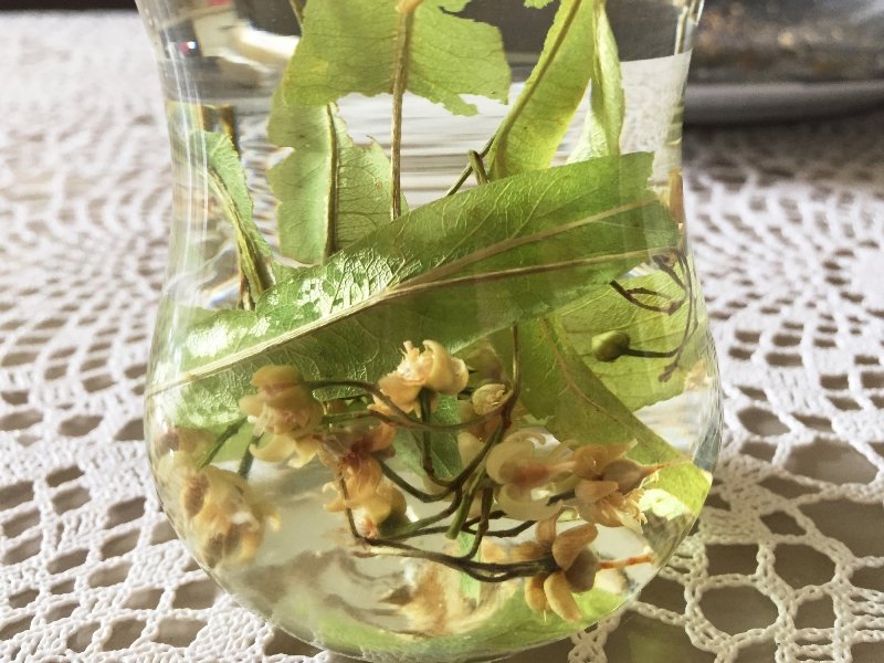 лимонад с липовым цветом