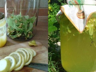 Липовый лимонад