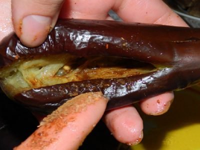 Лодочки из баклажанов