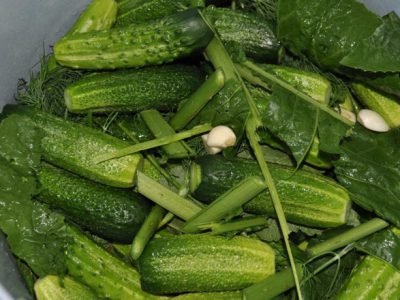 Малосольные огурцы в холодном рассоле