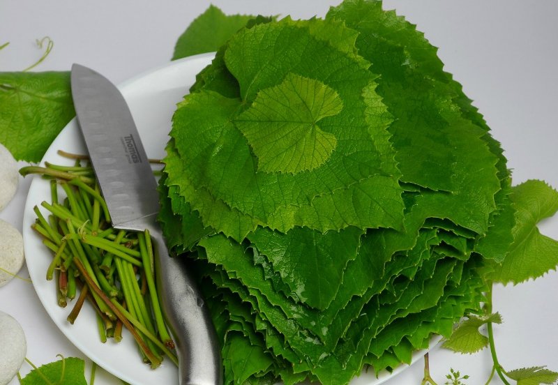 малосольные огурцы в виноградных листьях