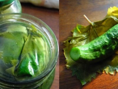 Малосольные огурцы в виноградных листьях