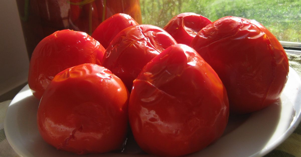 малосольные помидоры