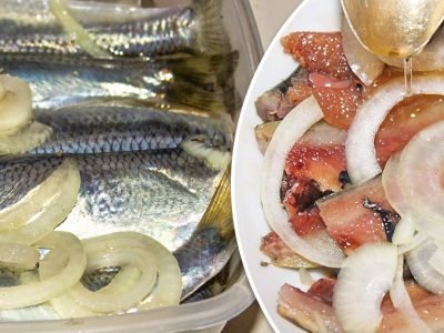 Маринованная салака