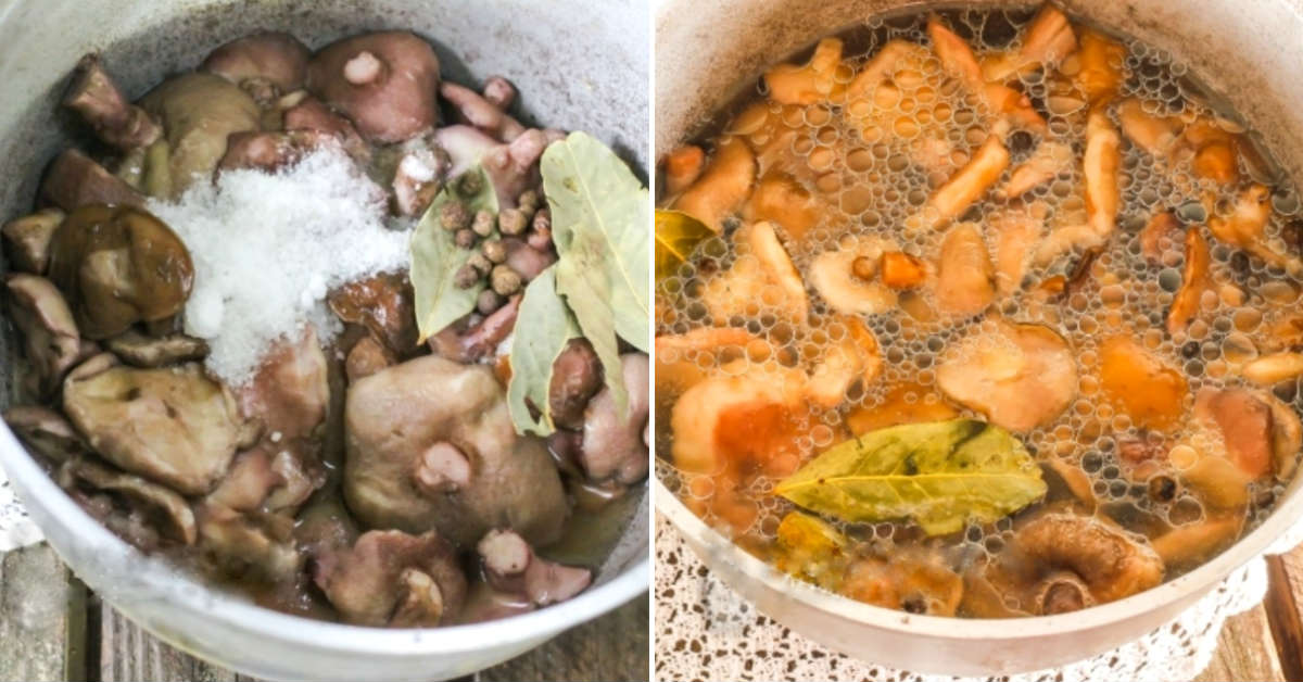 маринованные маслята на зиму