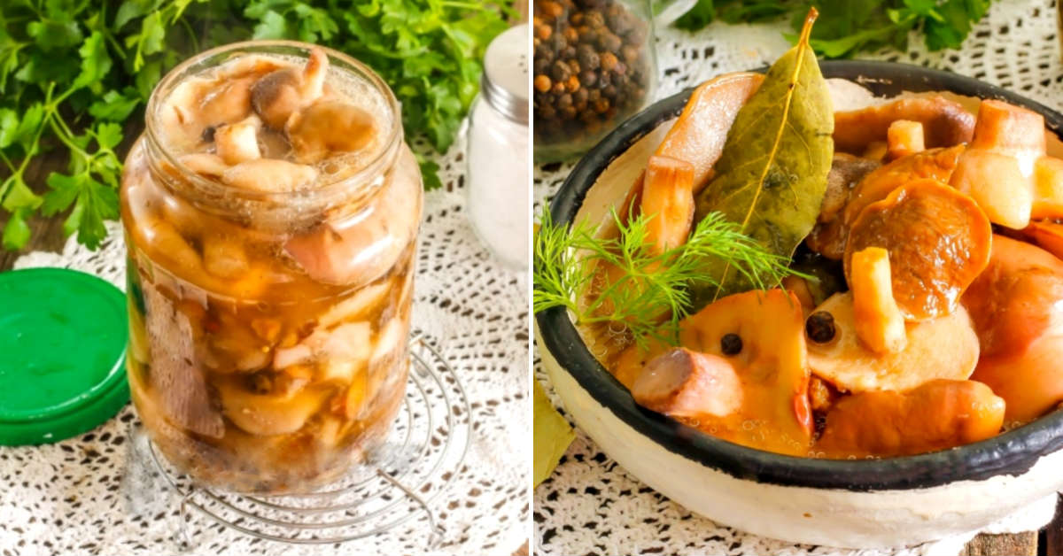 маринованные грибы