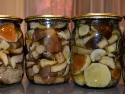 Маринованные маслята на зиму
