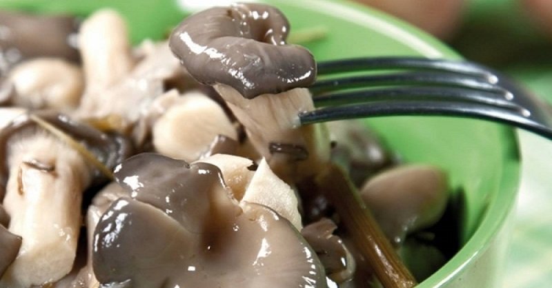 готовые маринованные вешенки