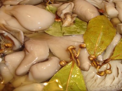 Маринованные вешенки быстрого приготовления