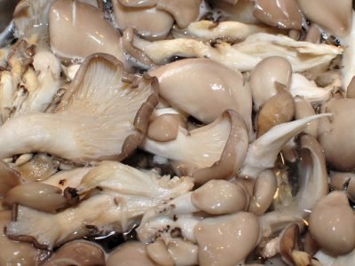 Маринованные вешенки