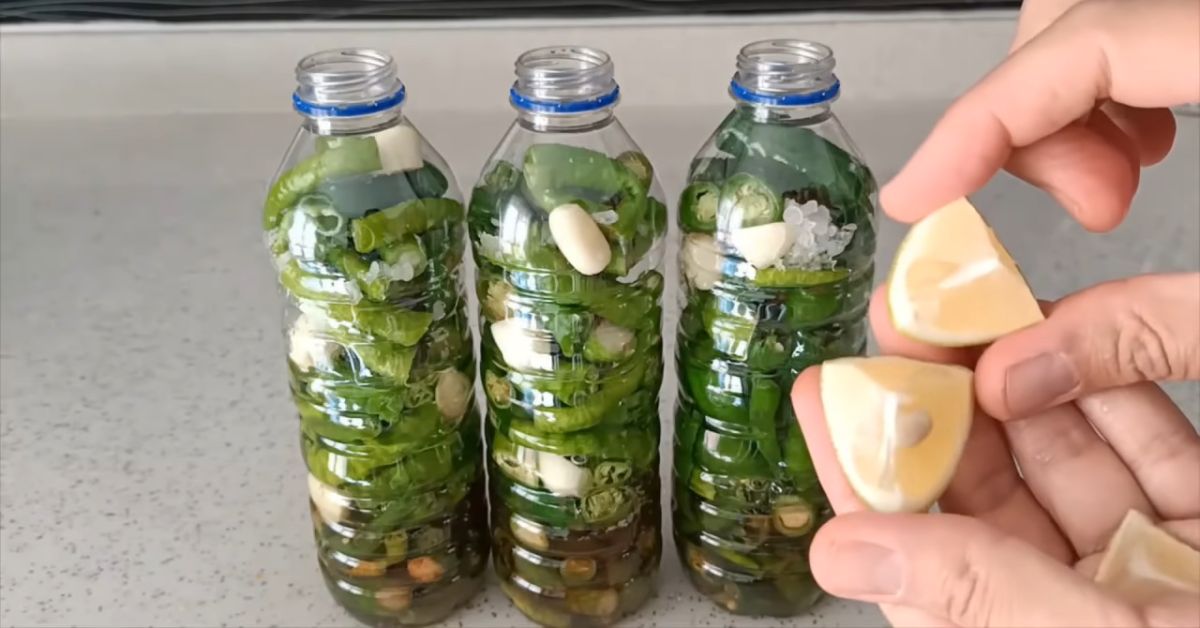 маринованный перец