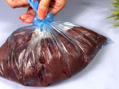 Медовая куриная печень по-азиатски в пакете