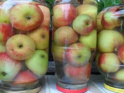 Моченые яблоки