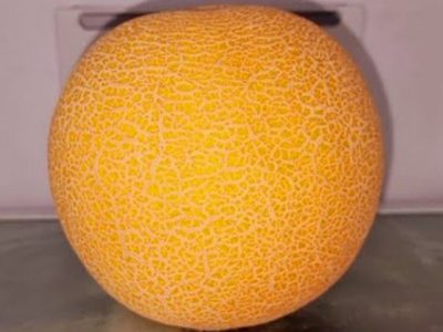 Мороженое из дыни в домашних условиях