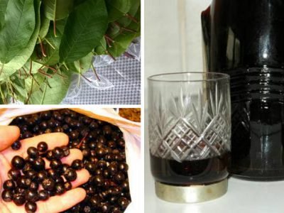 Наливка «100 листьев»