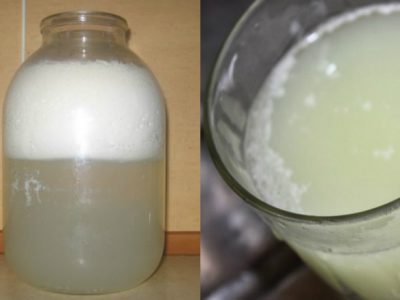 Норвежский сыр брюност