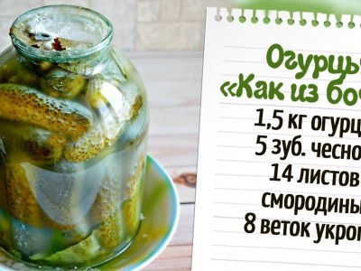 Огурцы как бочковые на зиму