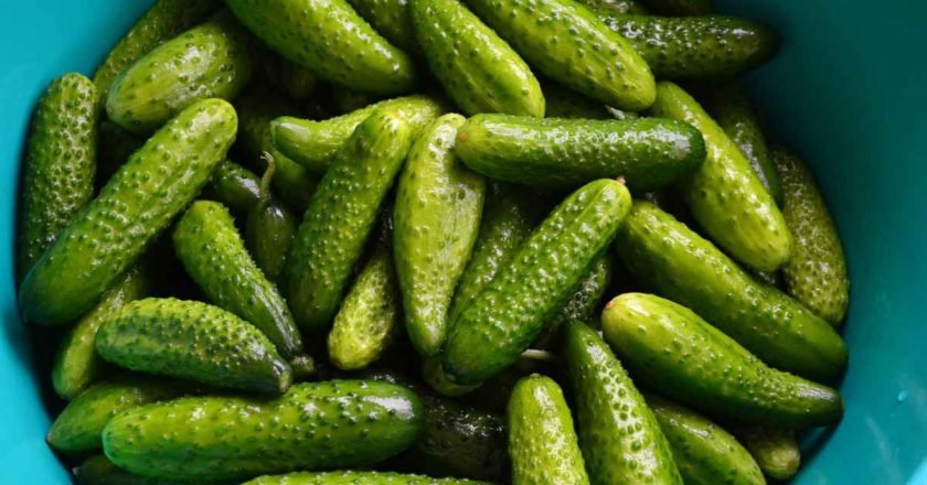 Как приготовить огурцы «Пражские» на зиму - Со Вкусом