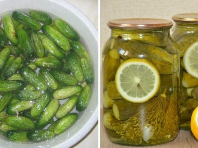 Огурцы с лимоном