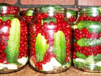 Огурцы со смородиной