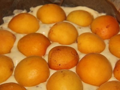 Овсяный пирог с абрикосами