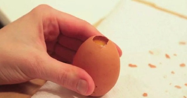 куриные яйца фото