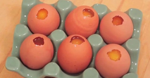 куриные яйца фото